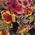 Image 001